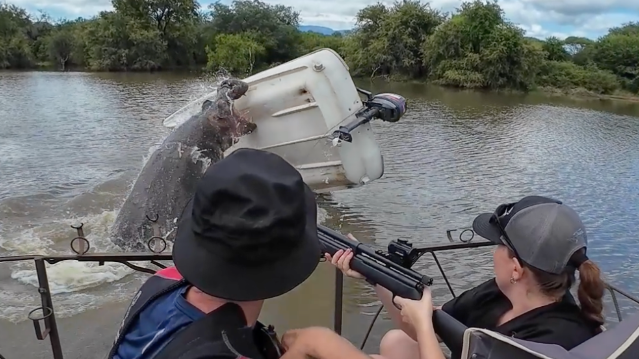 HIPPO MUM FLIPS BOAT